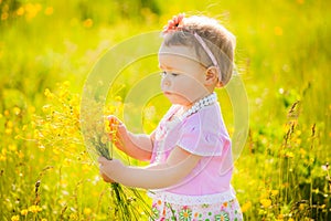 Little child playing with field flowers on spring or summer day