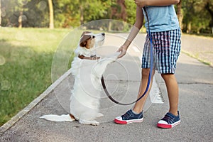 Little child playing with its dog  giving high five. obedience and unconditional love concept