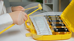 Little Child Playing Metallophone Metal Xylophone Percussion Musical Instrument.