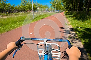 Little child riding a bicycle on bike path.