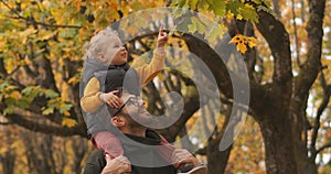 Little child is sitting on shoulders of his father and viewing yellow leaves of tree in autumn forest, dad and son are