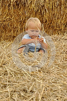 Little child in straw