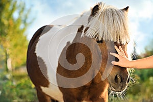 Little child stroking cute pony outdoors on sunny day, closeup