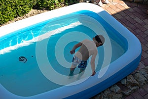 Little child swimming in pool photo