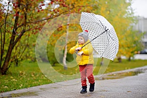 Little child walking in the city park at rainy autumn day. Toddler boy with umbrella for fall weather