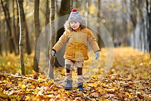 Little child walking in the forest at autumn day