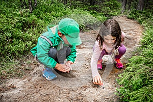 Little children boy and girl sitting on forest ground exploring and learning about nature and insects. Looking at a black bug.