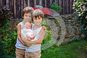 Little children, boys with a newborn brother in the park