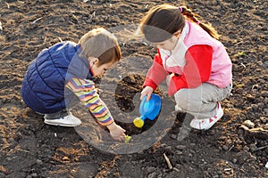 Little children on field seeding the plant