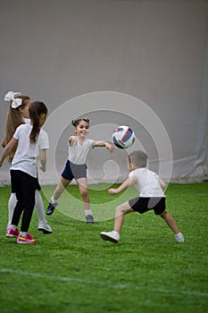 Little children kicking and throwing the ball on the field and laughing playing football