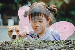 Little children play and exploring in the garden with thier planting sprout.