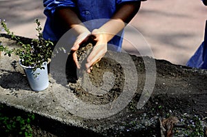 Little children playing, expolring and gardening in the garden with soil, leaves, nuts, sticks, plants, seeds during a school
