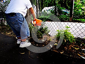 Little children playing, expolring and gardening in the garden with soil, leaves, nuts, sticks, plants, seeds during a school