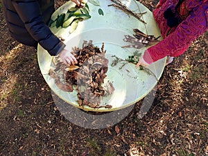 Little children playing, expolring and gardening in the garden with soil, leaves, nuts, sticks, plants, seeds during a school