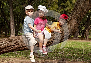Little children sit on a tree in the park