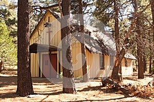 Little church in the trees