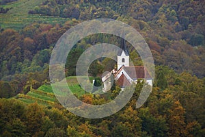 Little Church And Vineyard In Forest, Slovenia