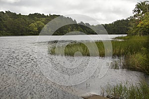 Little Cliff Pond in Nickerson State Park on Cape Cod