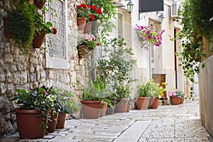 A little cobbles street in a Mediterranean country