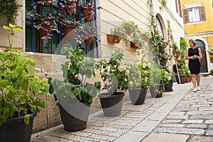 A little cobbles street in a Mediterranean country