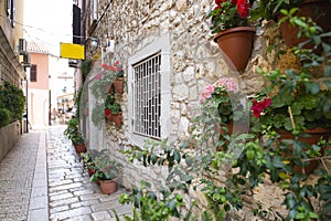 A little cobbles street in a Mediterranean country