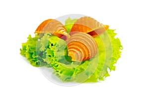 Little Conchiglie shell pasta stay on lettuce isolated on white background