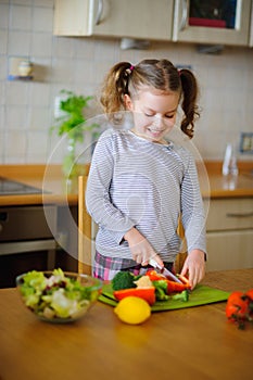 Little cook cooks salad. On a table various vegetables.