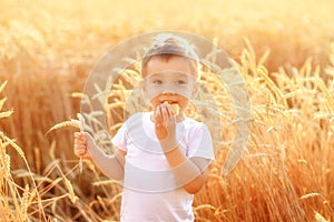 Little country boy eating bread in the wheat field among golden spikes in sun light. Happy rustic life and agriculture concept