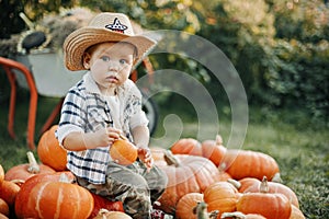 A little cowboy boy in a hat and a plaid shirt is sitting on a pile of pumpkins in the garden and holding a small