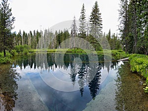 Little crater lake, Oregon