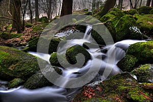 Little creek in Bavaria