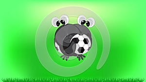 Little crow with a soccer ball cartoon animation.