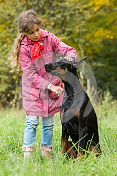 Little curly girl caress a big dobermann in park, photo