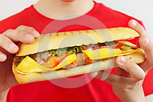 Little cut boy with a tasty cheeseburger on white background close up