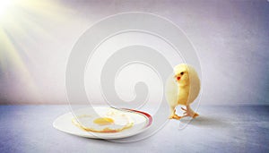 Little cute baby chick for easter. Yellow newborn baby chick