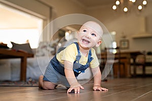 Little cute baby crawling at home