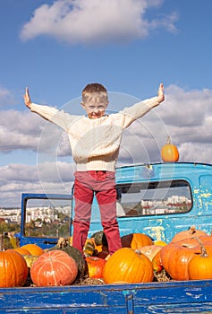 Little cute boy with blond hair in a white cozy knitted sweater on a pumpkin farm in autumn in the trunk of a truck