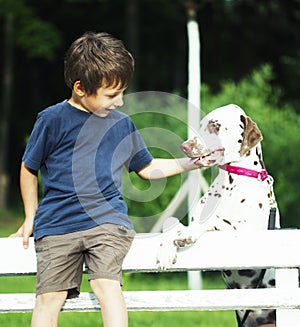 Little cute boy with dalmatian dog