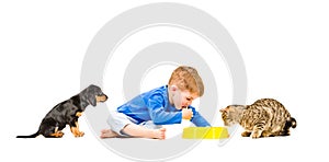 Little cute boy eats with his cat and dog photo