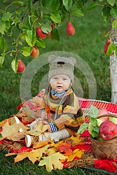 Little cute boy with the harvest