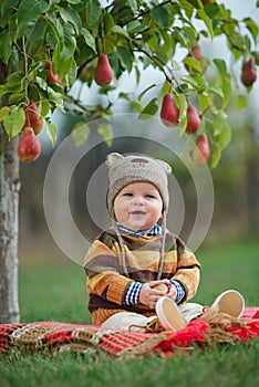 Little cute boy with the harvest