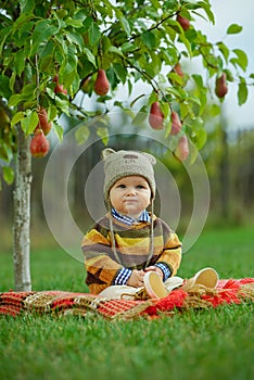 Little cute boy with the harvest