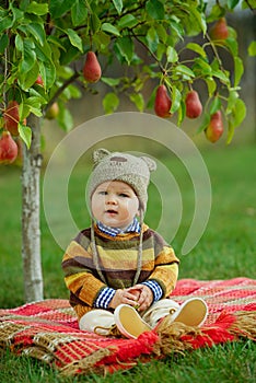 Little cute boy with the harvest