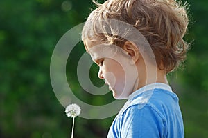 Little cute boy holding a dandelion