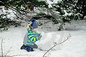 little cute boy making snowman. rolling big snowball