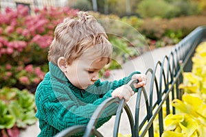 Little cute boy in the park. Close up picture of Lovelyl ittle boy in the autumn garden. Outdoor activities for children