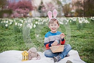 Little cute boy sitting on the grass near the daffodils. A boy dressed as an Easter bunny