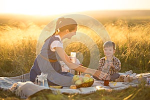 Little cute boy son and his beautiful pregnant mom at picnic