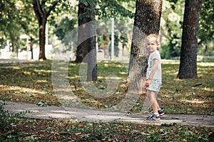 A little cute boy walks in a city park, a beautiful summer sunny day, big oak trees around