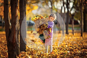 Little cute girl 6 years old with a huge bouquet of yellow autumn maple leaves in the autumn city park